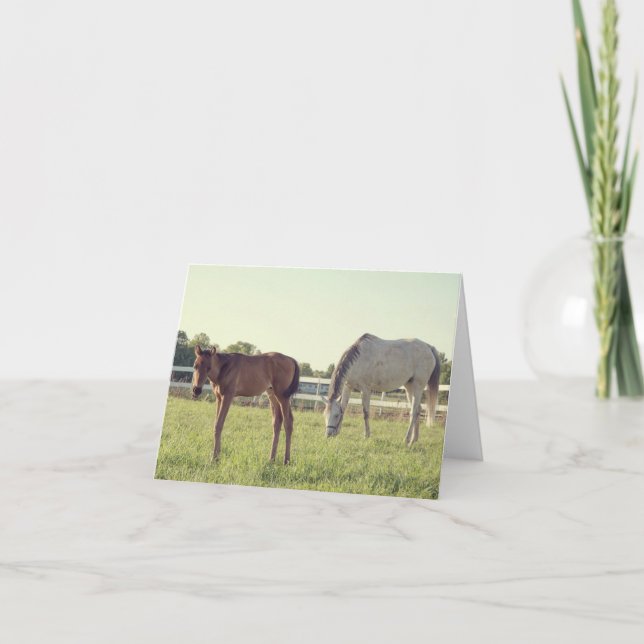 Mare & Foal Horses Note Card (Front)