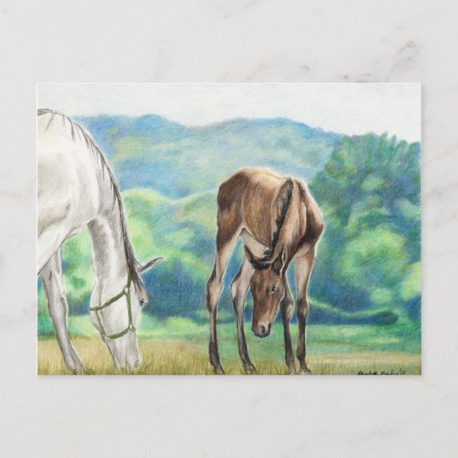 Mare & Foal Original Art Post Card (Front)