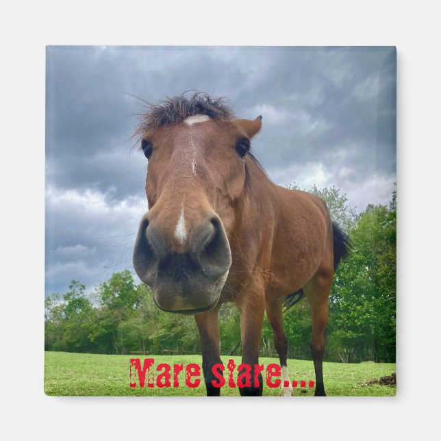 mare stare magnet (Front)