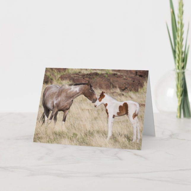 Mare with Colt Card (Front)