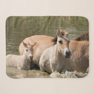 Mare with Foal Crossing a River Sherpa Blanket