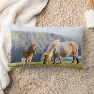 Mare with Foal, Shetland islands, Scotland Lumbar Cushion