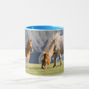 Mare with Foal, Shetland islands, Scotland Mug