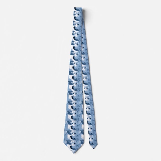 Maremma dog tie (Front)