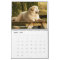 Maremma Sheepdog Calendar