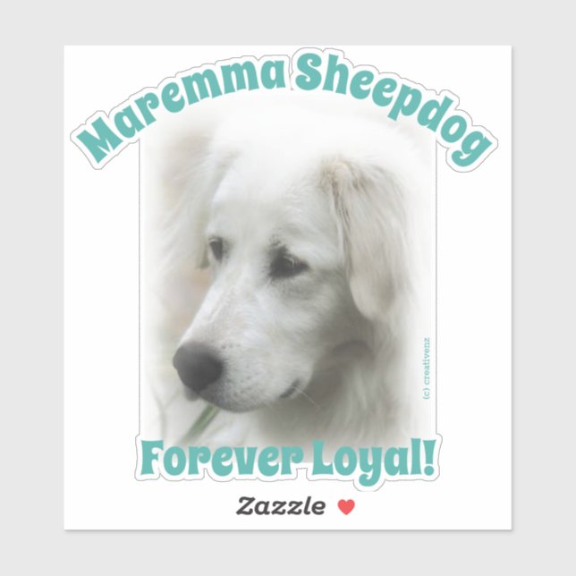 Maremma sheepdog Forever Loyal transparent sticker (Sheet)