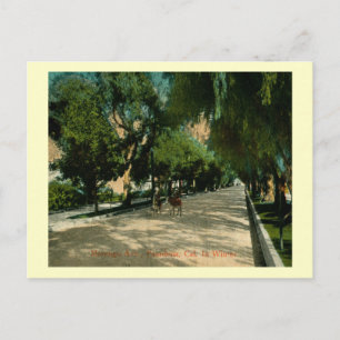Marengo Ave., Pasadena, California Vintage Postcard