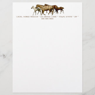 Mares and Foals Drawing Customized Letterhead