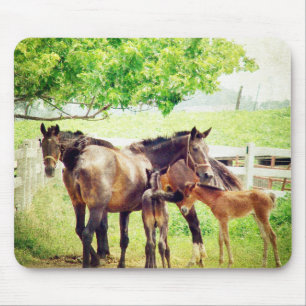 Mares and Foals Mouse Pad
