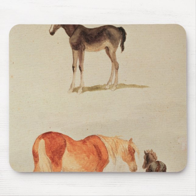 Mares and foals mouse pad (Front)