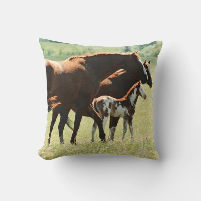 Mares and Foul Horses Picture Cushion (Front)