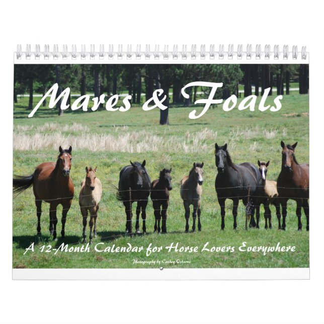 Mares & Foals Calendar (Cover)