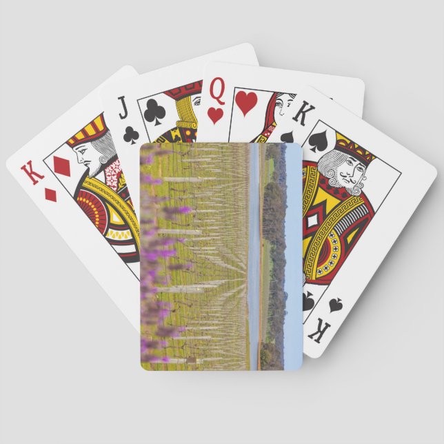 Margaret River, Western Australia Playing Cards (Back)
