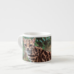 Margay, Leopardus wiedi, Native to Mexico into Espresso Cup