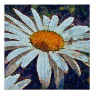 Marguerite Daisy with Winged Insects Floral Art Poster