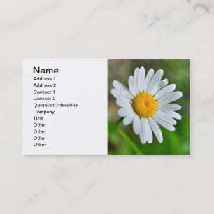 Marguerite-wild-flower426 WILDFLOWERS DAISY  SPRIN Business Card