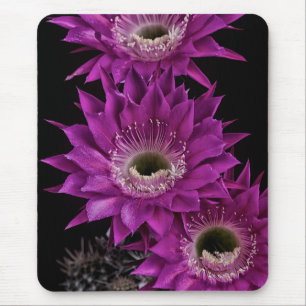 Maria Piazza to the third Mouse Pad