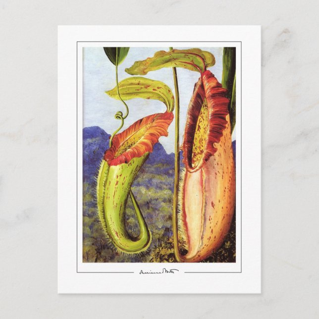 Marianne North #1 - Fine Art Postcard (Front)