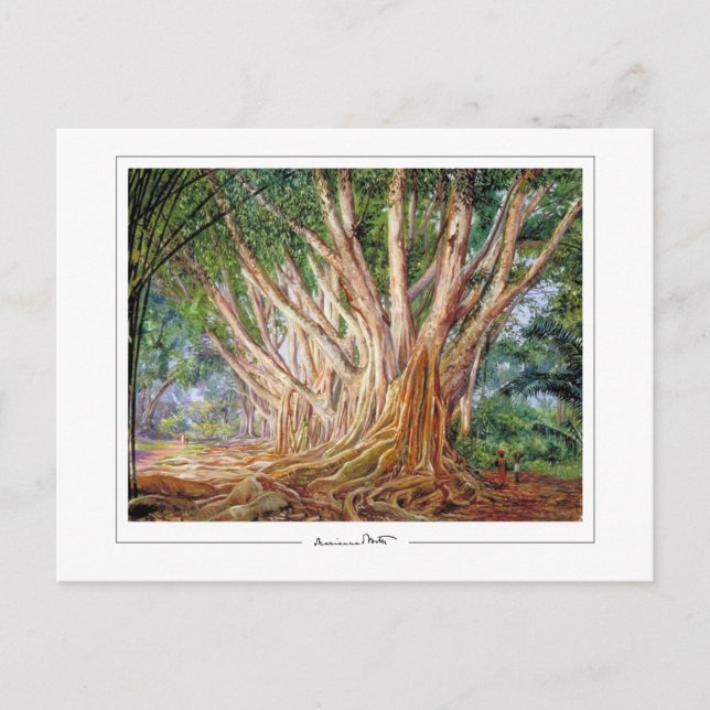 Marianne North #5 - Fine Art Postcard (Front)