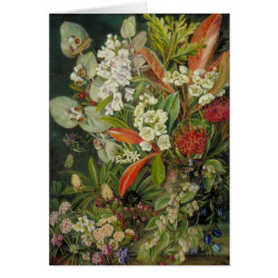Marianne North Botanical Painting
