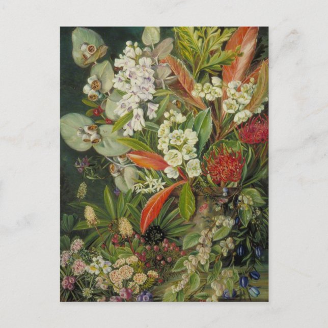 Marianne North Botanical Painting Postcard (Front)