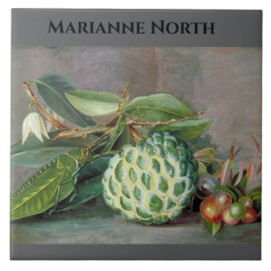 Marianne North Custard Apple Painting Ceramic Tile