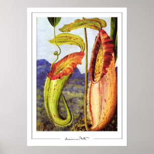 Marianne North Zedign Art Poster #1