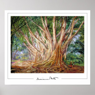 Marianne North Zedign Art Poster #5