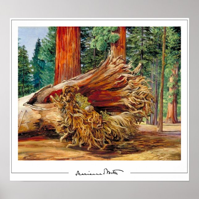 Marianne North Zedign Art Poster #7 (Front)