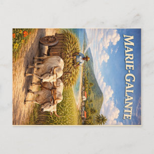 Marie-Galante Ox Cart Vintage Poster Postcard