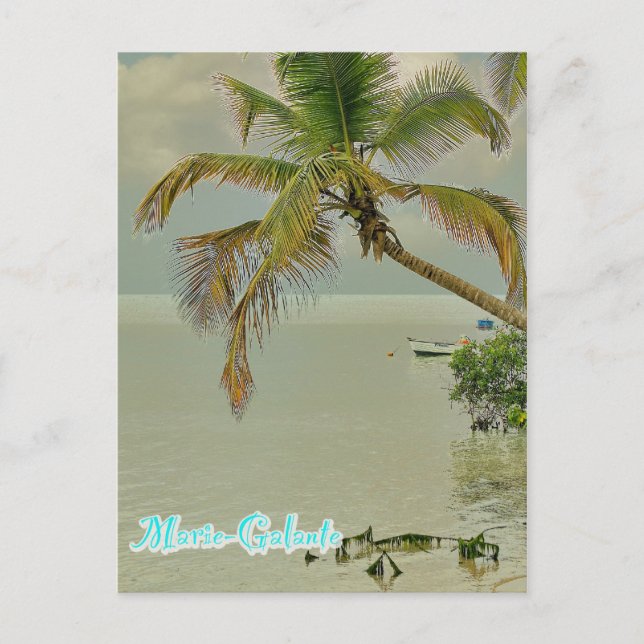 Marie-Galante, plage Postcard (Front)