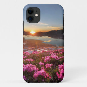 Marie Lakes Sunrise - John Muir Trail - Ansel Adam iPhone 11 Case