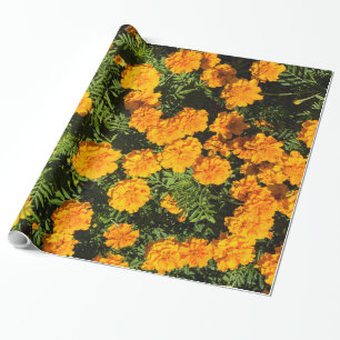 Marigold blossoms wrapping paper