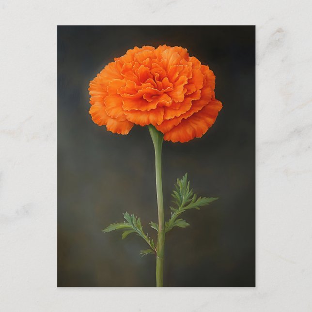 Marigold Botanical Painting Postcard (Front)