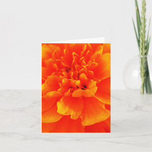 Marigold Card