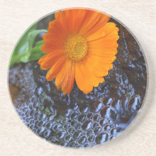 Marigold Coaster