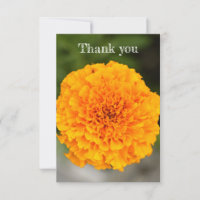 Marigold Flat Thank You Card