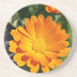 marigold flower coaster
