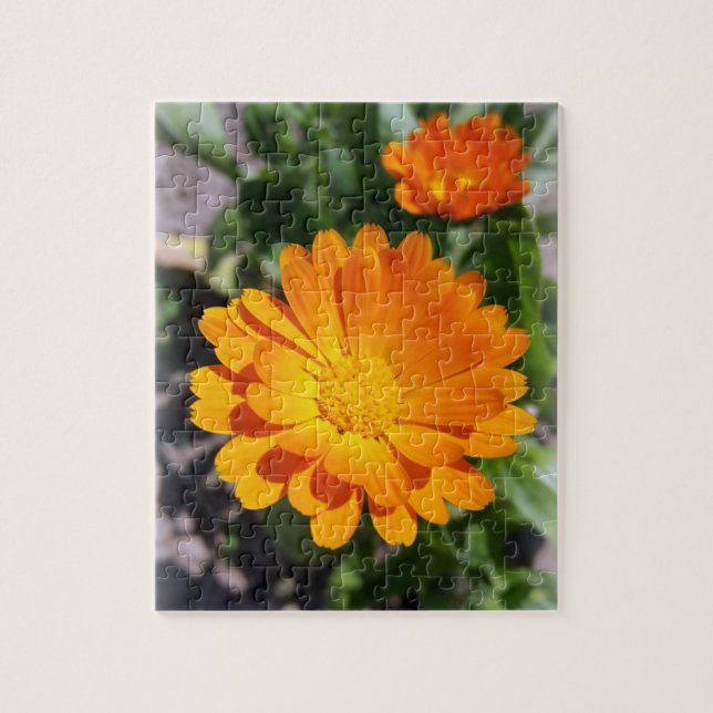 marigold flower jigsaw puzzle (Vertical)