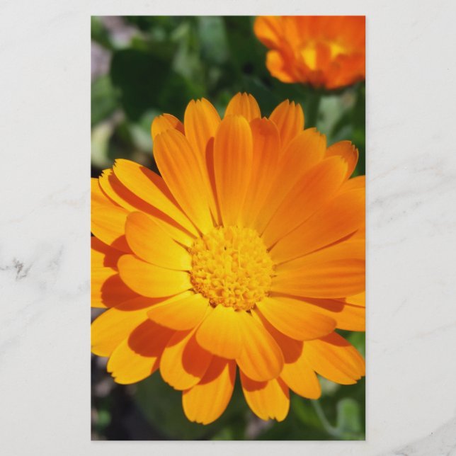 marigold flower stationery (Front)