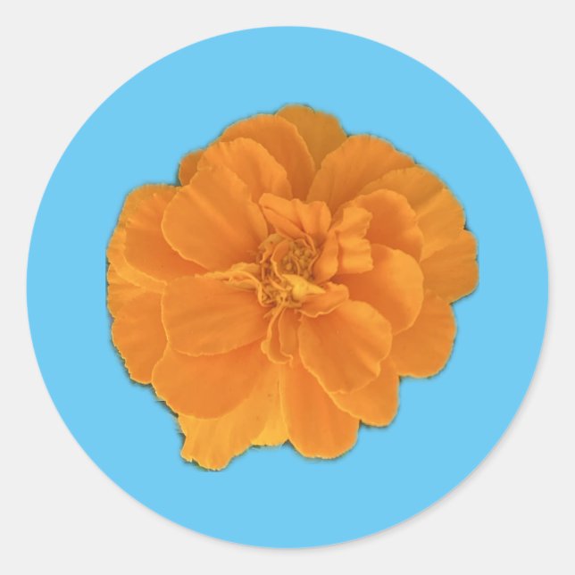 Marigold Flower Sticker (Front)