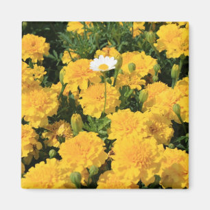 Marigold Flowers and a Daisy Flower Magnet