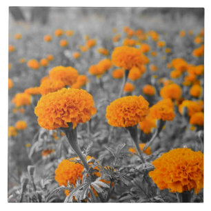 Marigold flowers ceramic tile