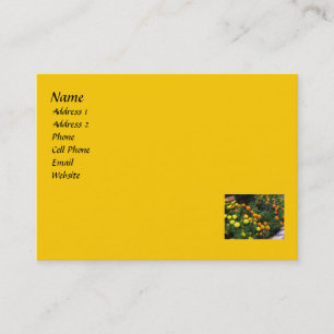 Marigold Garden Business Card