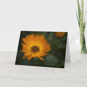 Marigold Greeting Card
