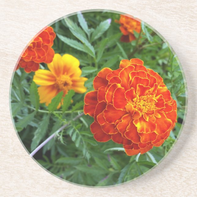 marigold in the sun coaster (Front)