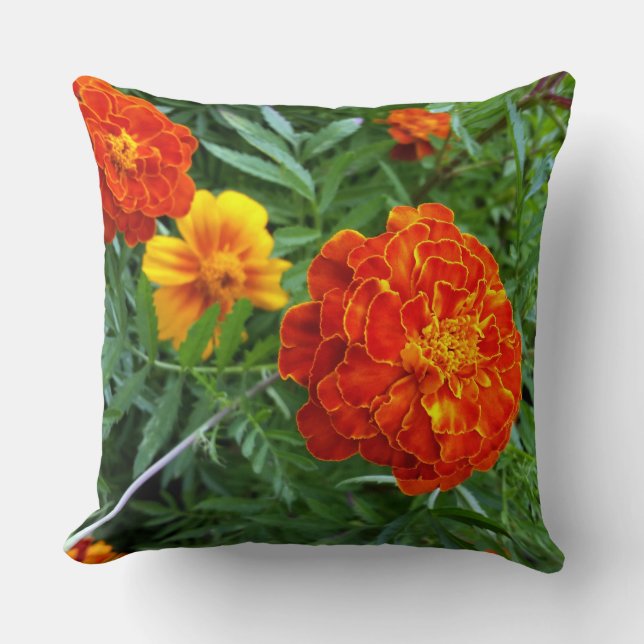 marigold in the sun cushion (Front)