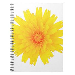 Marigold Notebook