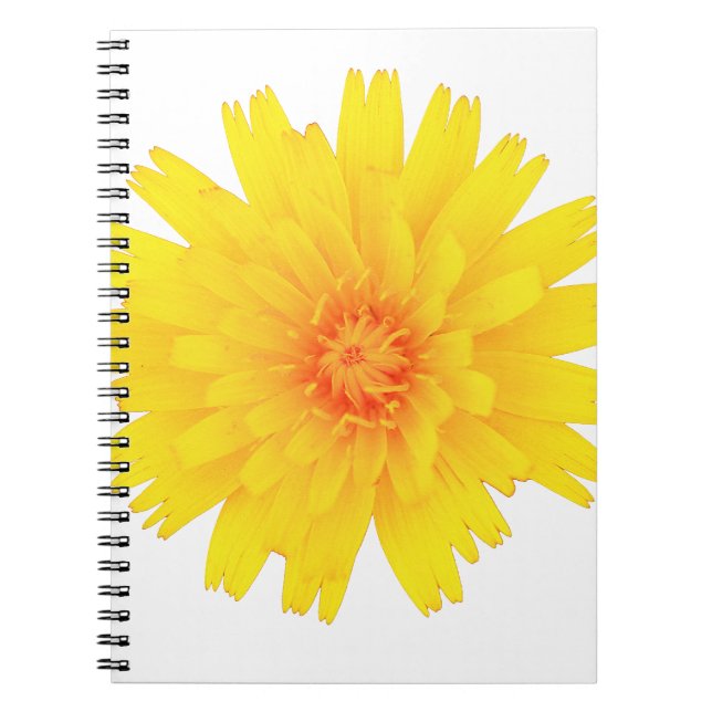 Marigold Notebook (Front)