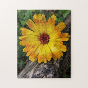 marigold on log jigsaw puzzle
